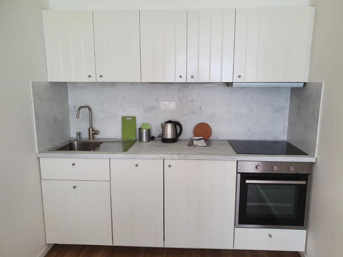 Stylish Apartment With Terrace And Garage In The City Center プルゼニ エクステリア 写真
